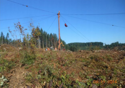 GEW’s logging safety professional inspecting logging tower