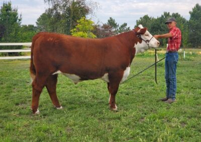 We are a proud sponsor of the Union County 4H/FFA livestock Auction.   Gideon Topliff, 2021 home grown Market Steer, La Grande, OR